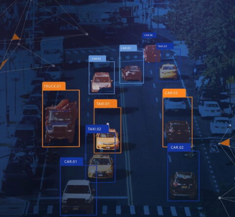 Camvi Insight Model Library - Ai face recognition company