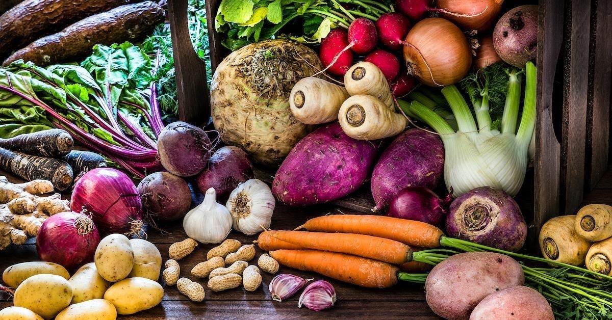 Which Vegetables to Grow in Winter?