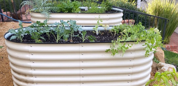 9 Tips for Successful Raised Garden Bed Gardening | Vego Garden