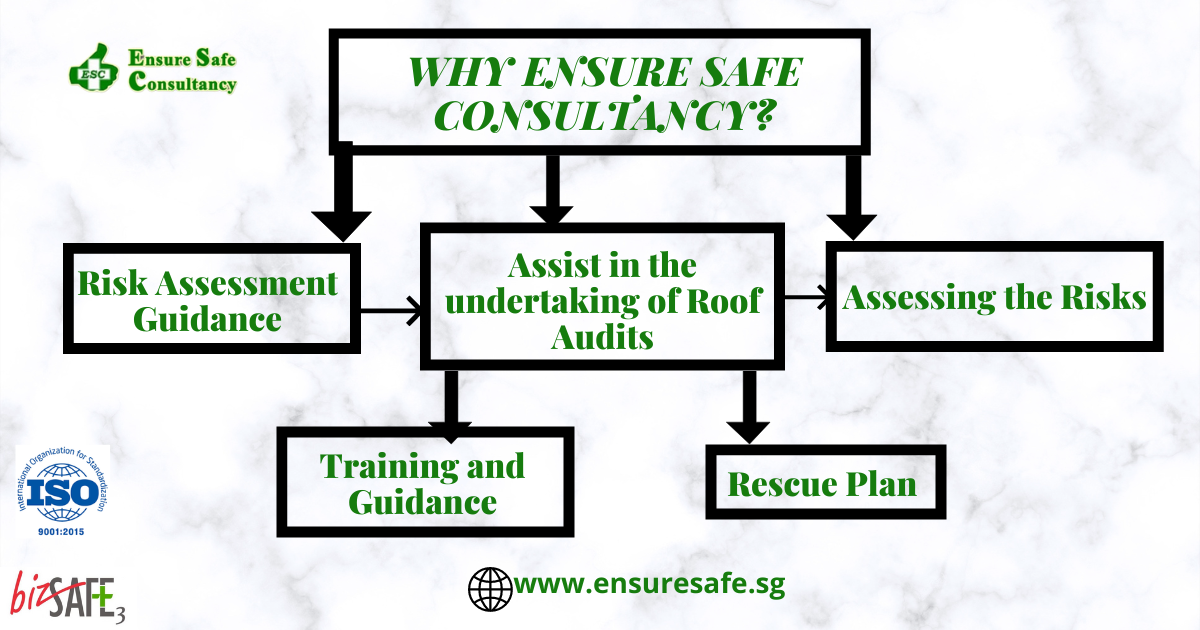 WHY ENSURE SAFE CONSULTANCY?