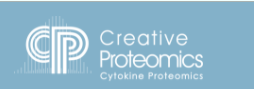 What Are the Cytokines?