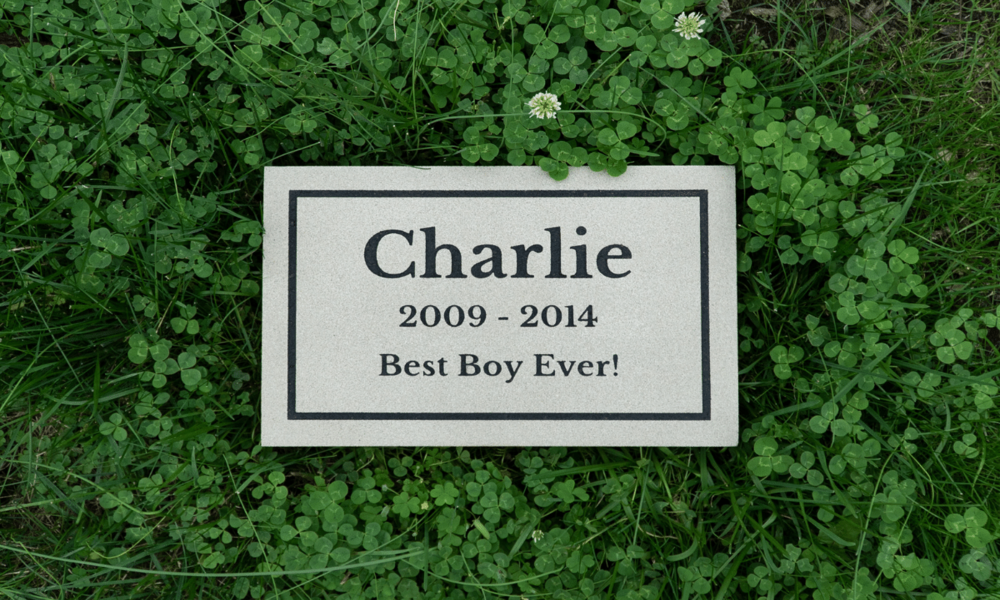 Pet Memorial Stones