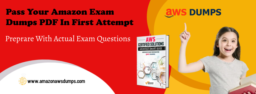 Amazon ANS-C00 dumps - Amazonawsdumps.com