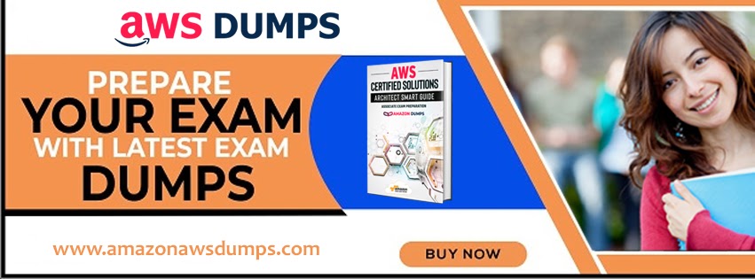 2021 SAP-C01 Dumps PDF
