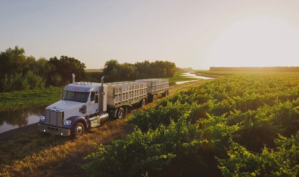 Your Property Will Be Neat and Clean With Professional Junk Hauling!