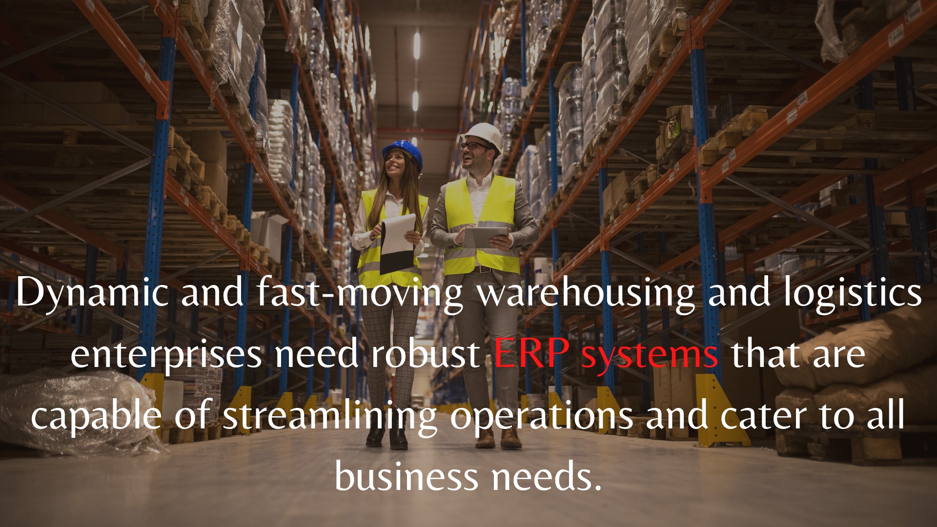 ERP Software Logistics & Warehouse Industry Management