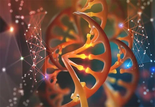CD Genomics Perspective: The Application of RNA-Seq and DNA-Seq in Cancer Research 