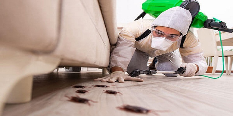 Different Types of Pest Control Methods In Hyderabad
