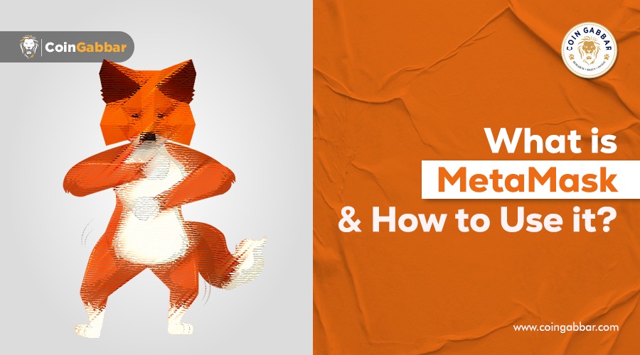 What is MetaMask and How to Use it?