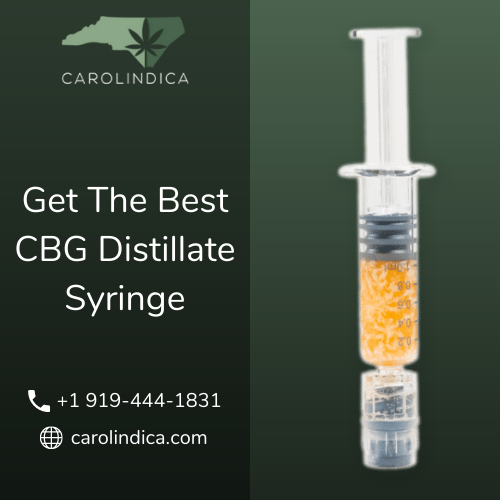 Get The Best CBG Distillate Syringe | CarolIndica