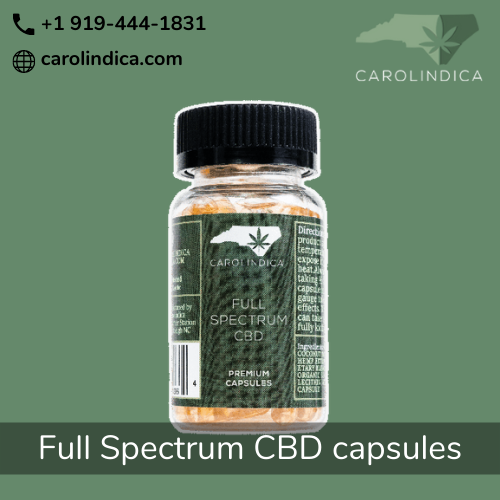 Full Spectrum CBD Capsules | Carol Indica