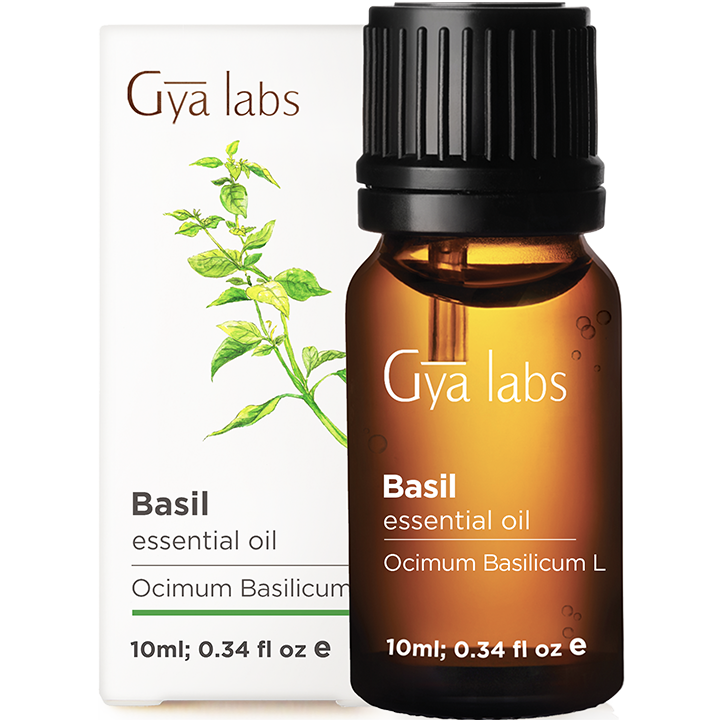 basil essential oil