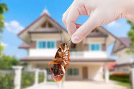 Pest Control | pest control near me | pest control services