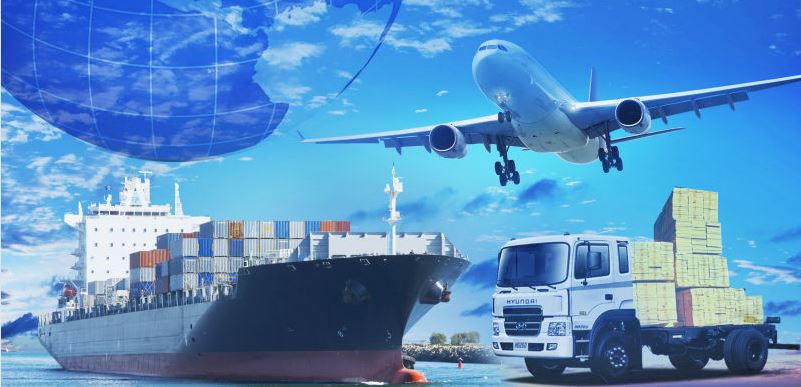 Questions to ask While Choosing the Best Shipping Companies in UAE
