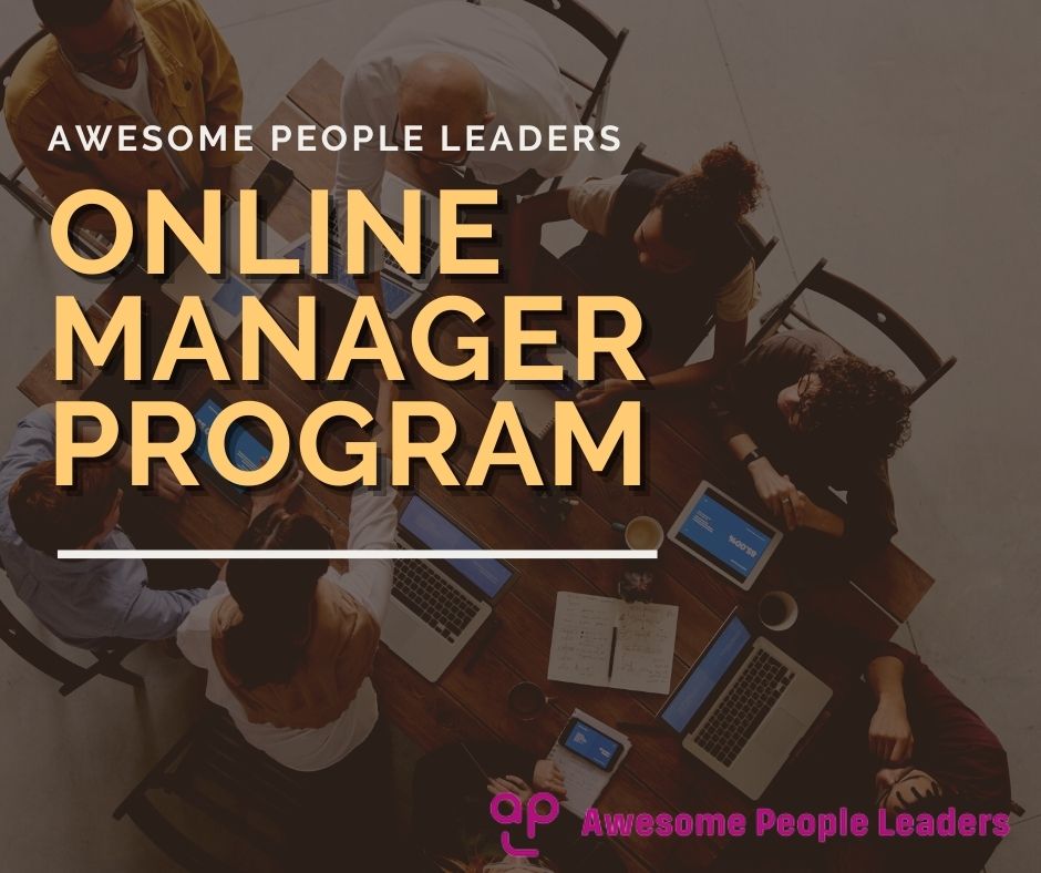 Online Manager Program