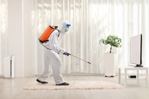 Residential Pest Control Tips To Get Rid of Termites