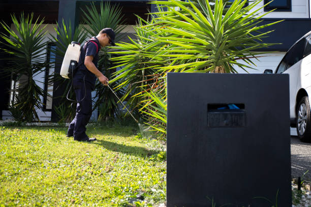 Control Unwanted Rodents with Rodent Control Methods ! 