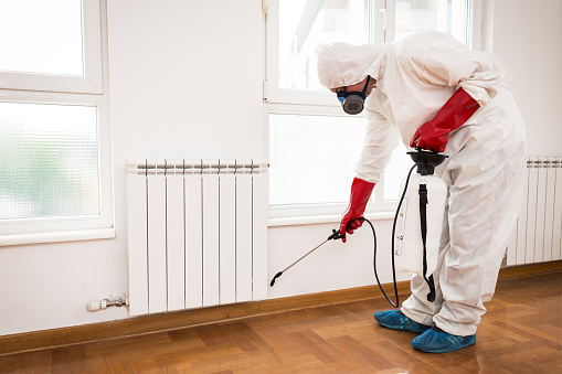 Why You Should And How You Can Use Residential Pest Control