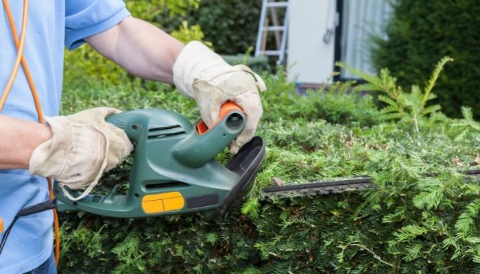 Best Hedge Trimmers 2022 |