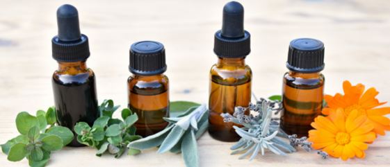 Best Alcohol for Extraction: Everything You Need To Know for High-Quality Natural Extract