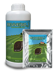How Can We Fertilize The Soil?