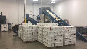 Paper Shredder Service Market Size, Status, Growth | Industry Analysis Report 2020-2027