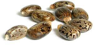 Report on Bio-Based Polyamide Market Research 2027 - Value Market Research