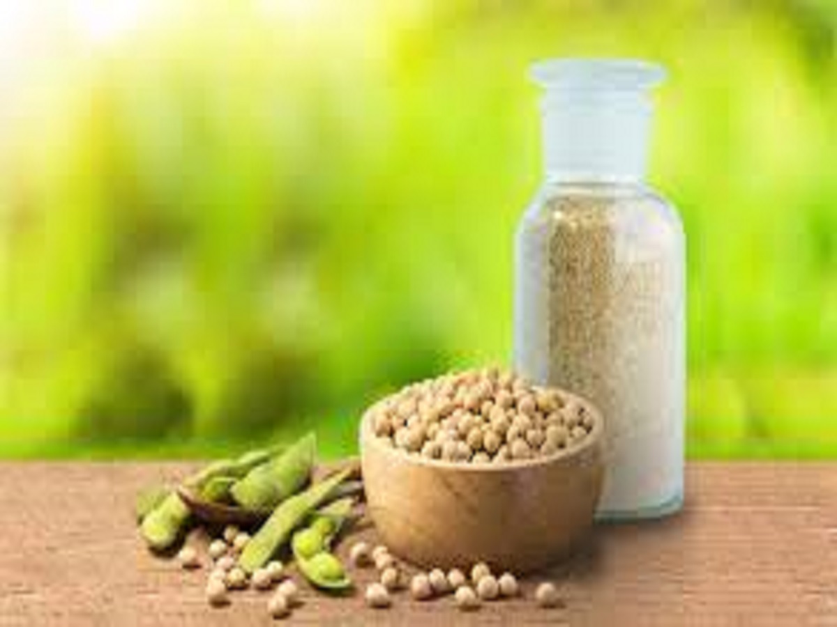 Soy Lecithin Market 2023 Market Size, Growth Factors & Forecast Report to 2032