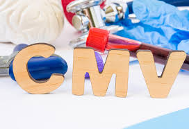Cytomegalovirus Treatment Market Size, Key Players Analysis And Forecast To 2027 | Value Market Research