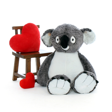 Find Koala Teddy Bear | Giant Teddy