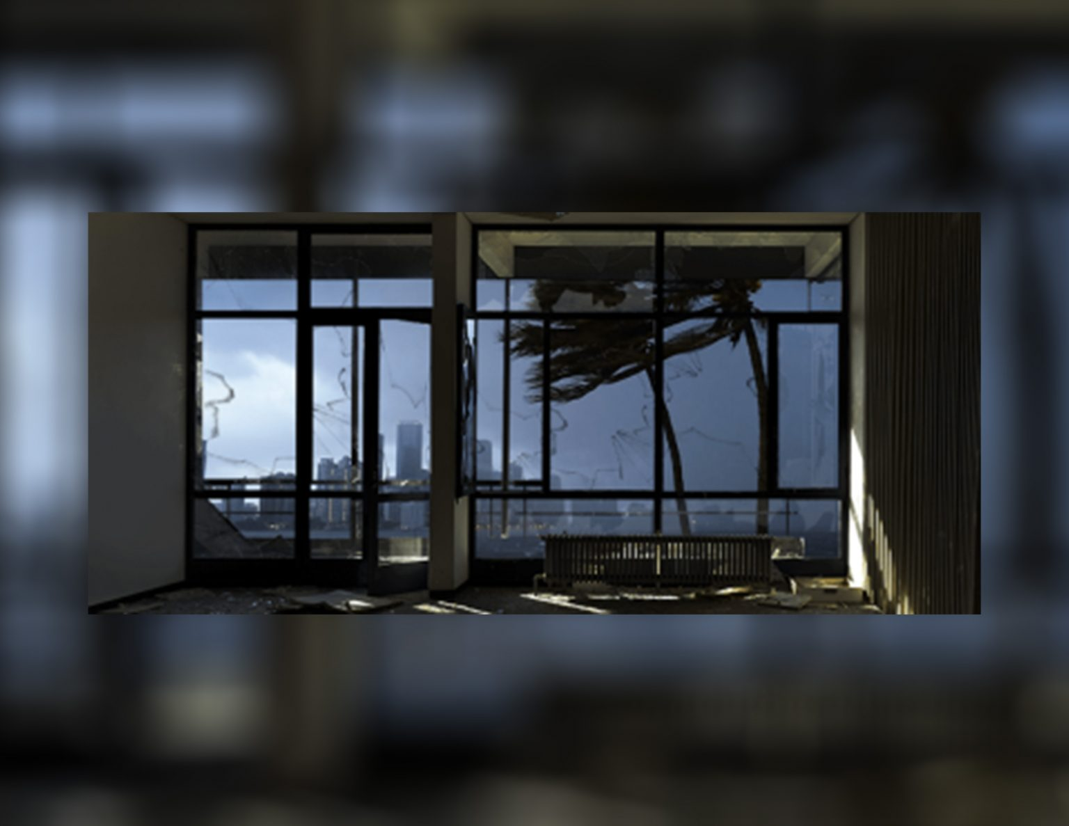 Need Professional Residential Window Replacement 