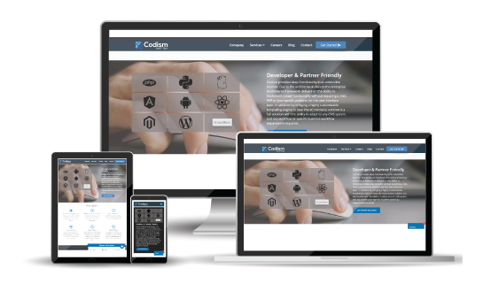 Top Custom Application Development in USA - Codism