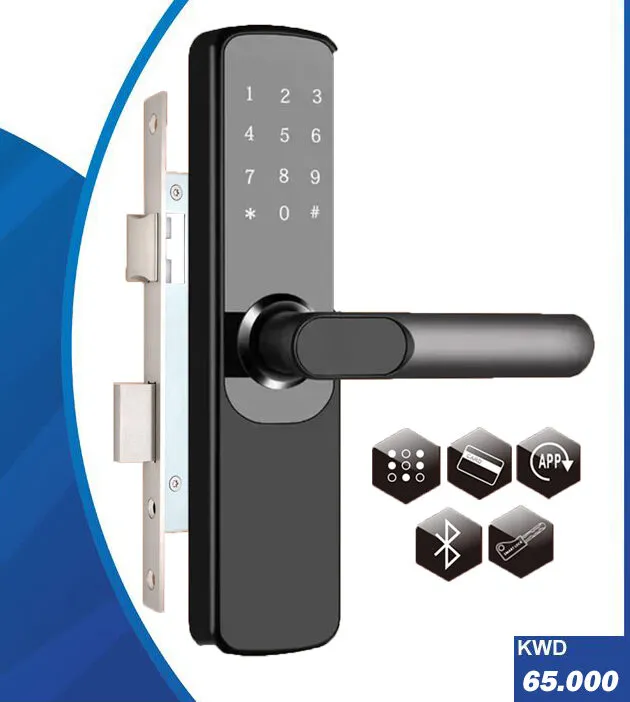 Investing in Peace of Mind: Cost-Effective Security with Premium Smart Locks