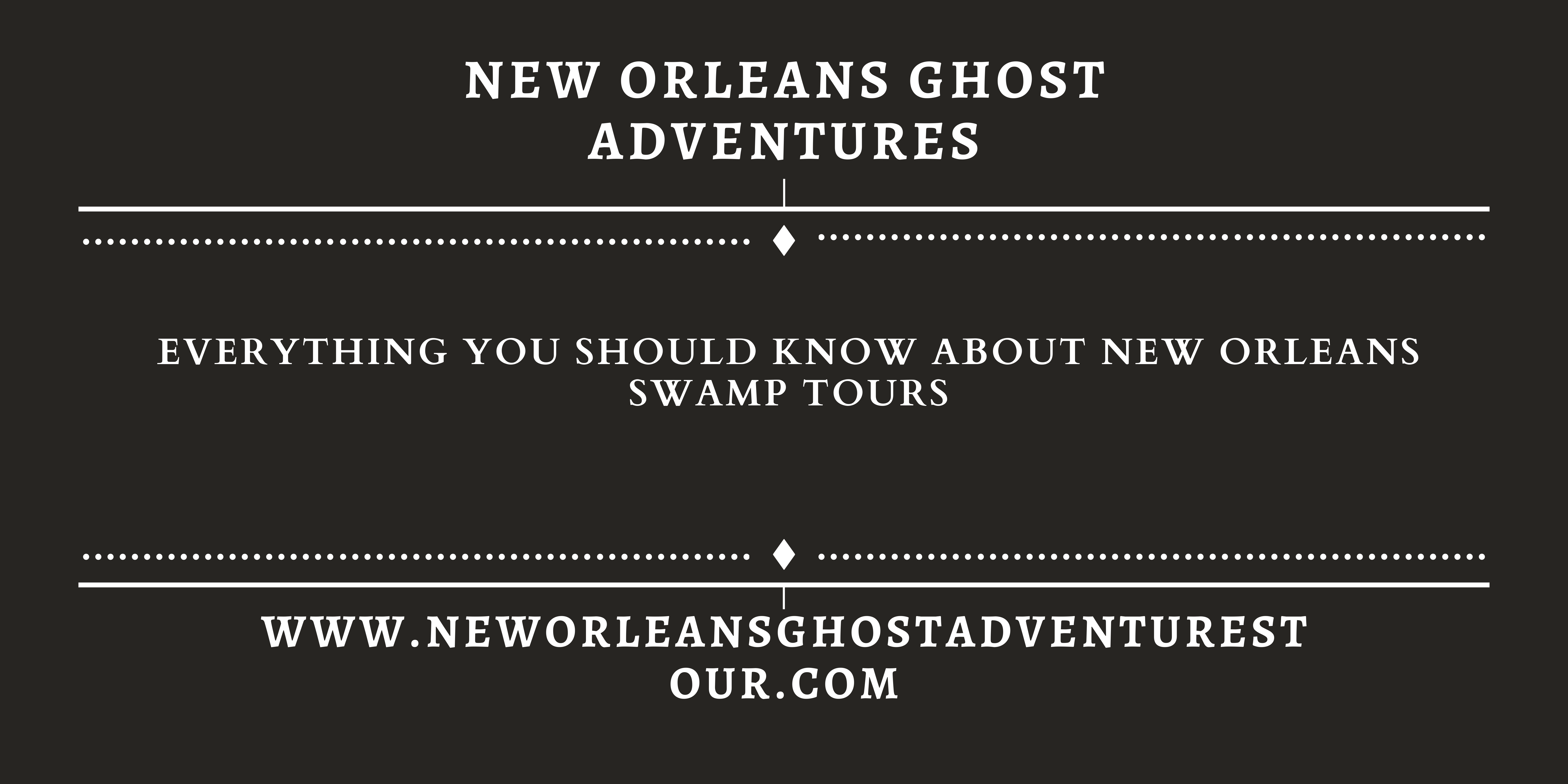 Everything You Should Know About New Orleans Swamp Tours