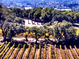 Best Napa Valley Transportation Service