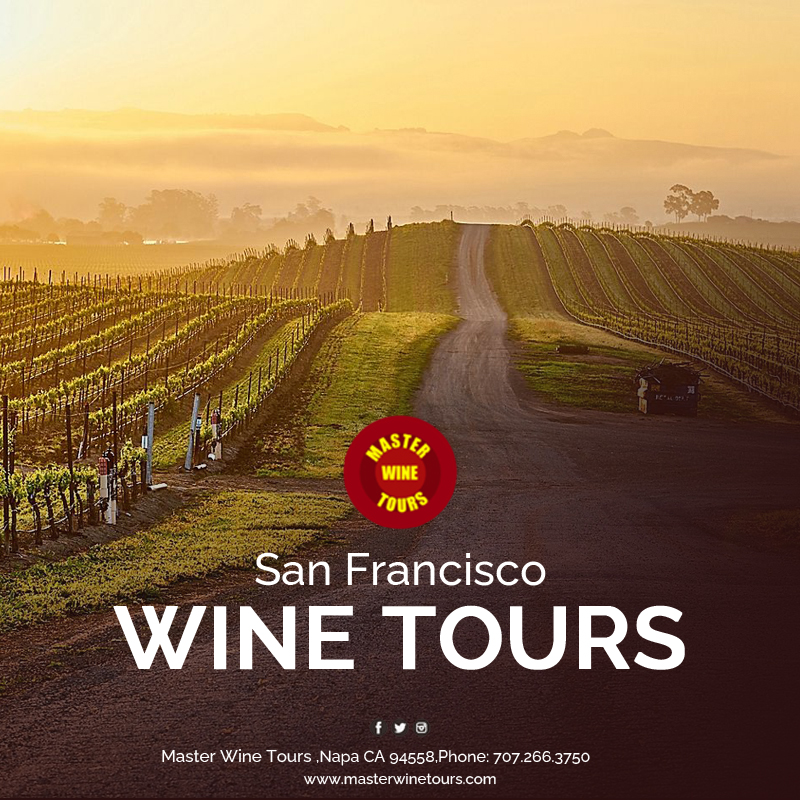 Amazing San Francisco wine tours with Master Wine Tours