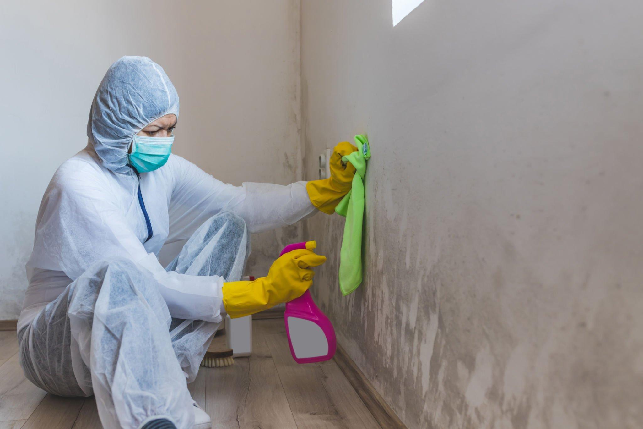 Does Professional Mold Testing Mean You Need to Remove Mold?