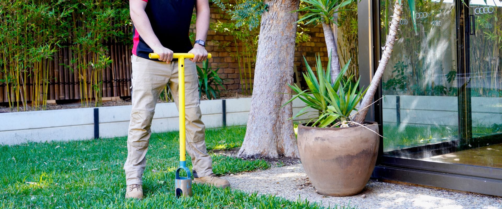 What Is a Reasonable Termite Inspection Price?