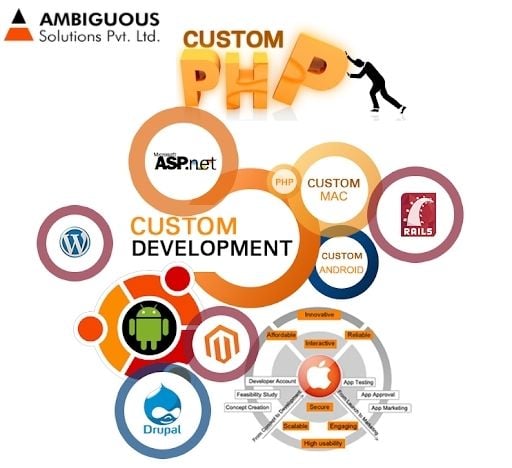 Top Custom Software Development Companies In USA | Professional SEO Services 