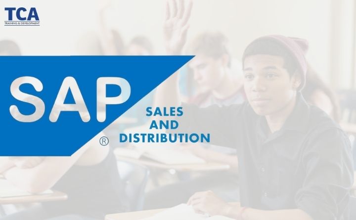 Best SAP SD Training Institute in Delhi