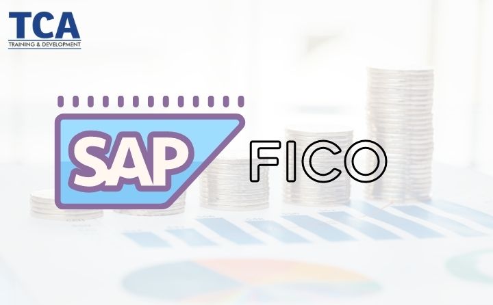 Best SAP FICO Training Institute in Delhi