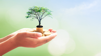 Environment Crowdfunding: A New Hope for Planet Earth