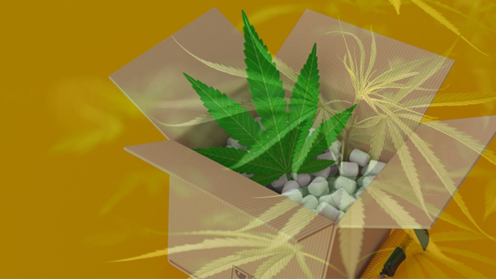 SMALL KNOWN FACTS ABOUT MARIJUANA PACKAGING