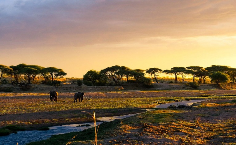 WHY IS TANZANIA BECOMING THE MOST LOVED SAFARI DESTINATION!