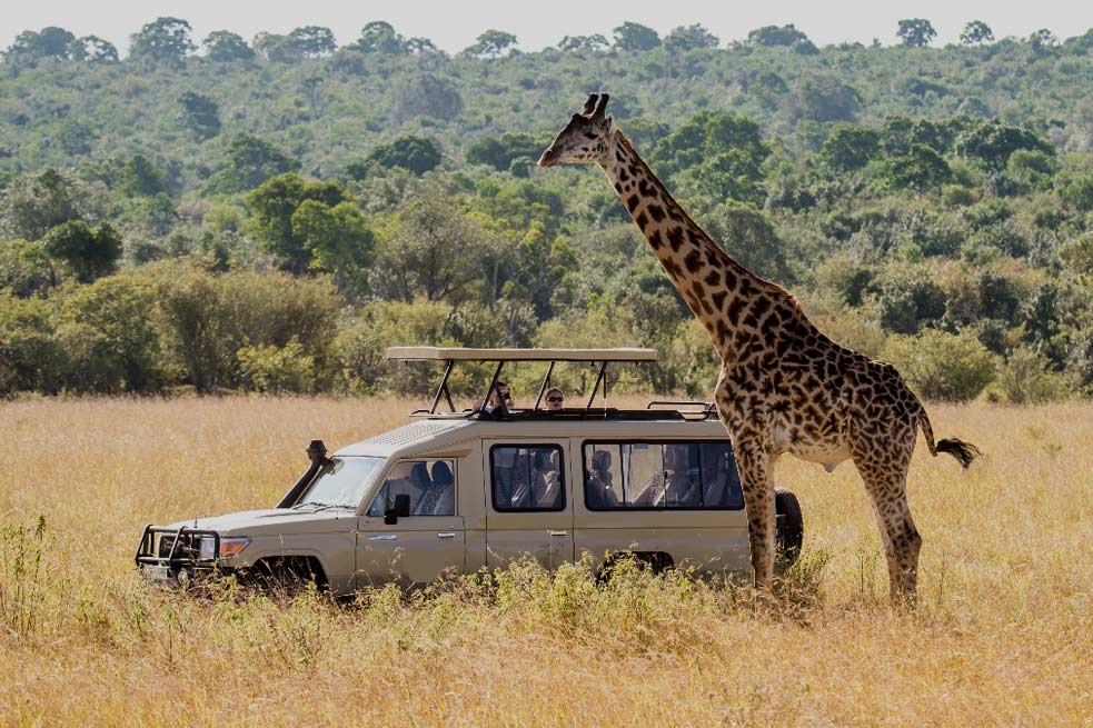 TANZANIA SAFARI TOURS