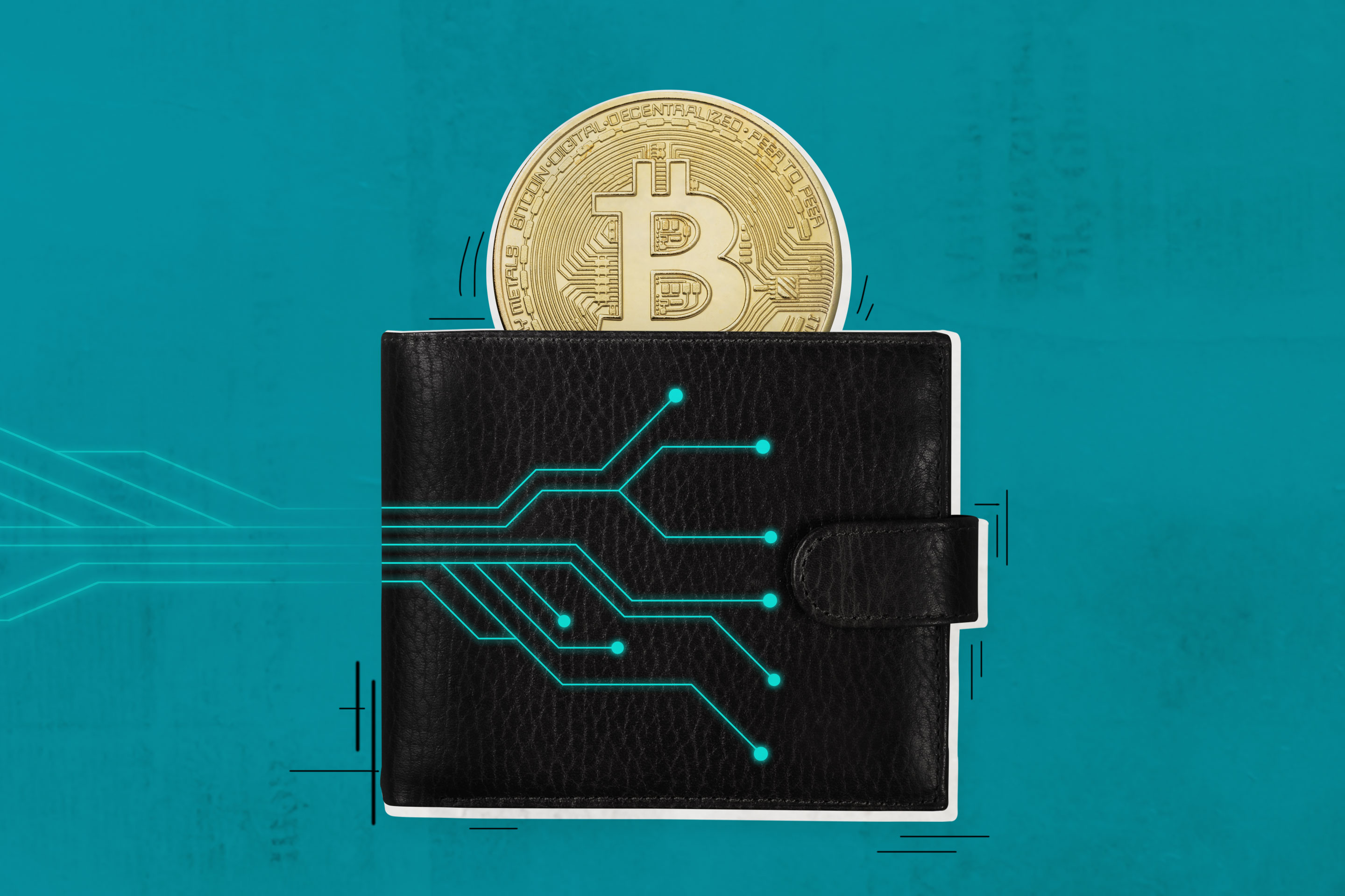 Crypto Wallets Guide: Essential Things You Should Know