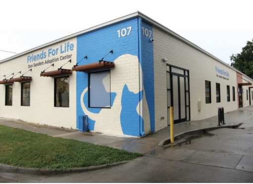 Cause for Paws | Wyatt Management