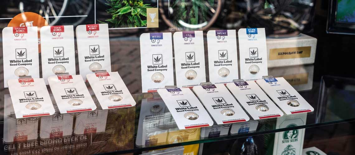 Operating a Successful Cannabis Retail Store