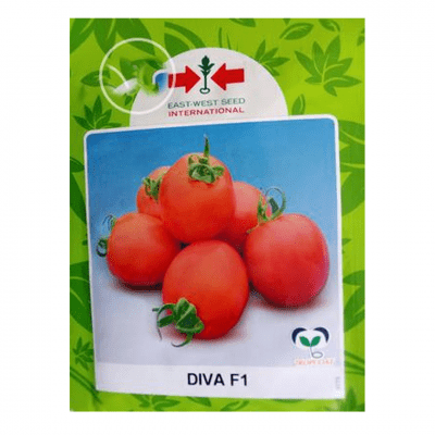 Buy High Quality Tomato Seeds at Best Price