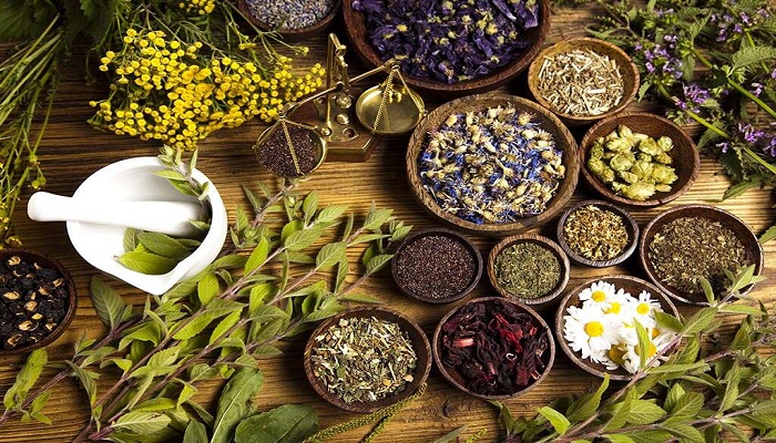 Herbal Medicine's Advantages